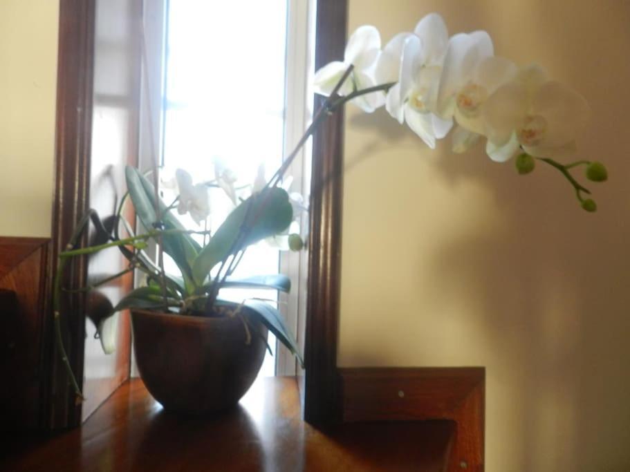 Jp Guest House Aveiro Buitenkant foto